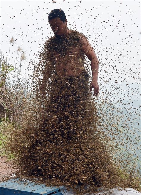 Man Dons Bee Suit Made of 460,000 Live Insects - ABC News