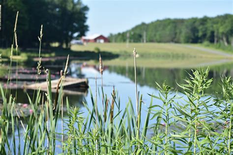 Camping Photos – Forest Lake Campground