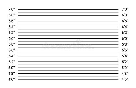 Height Chart Blank Mugshot height chart vectors 82