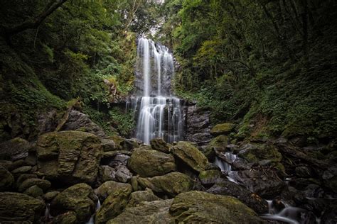 Cloud Forest Waterfall (雲森瀑布) — Josh Ellis Photography