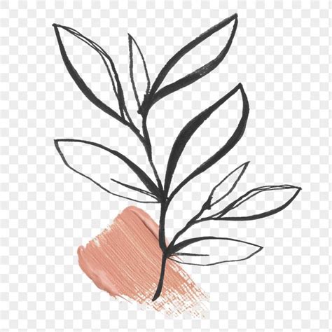 Leaf png sticker, line art design transparent background | premium image by rawpixel.com / Nunny ...