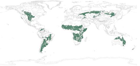 Temperate and Tropical Grasslands, Savannas, and Shrublands — Ecology ...