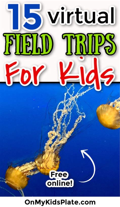 15 Amazing Virtual Field Trips Online For Kids | Virtual field trips, Virtual field trips ...