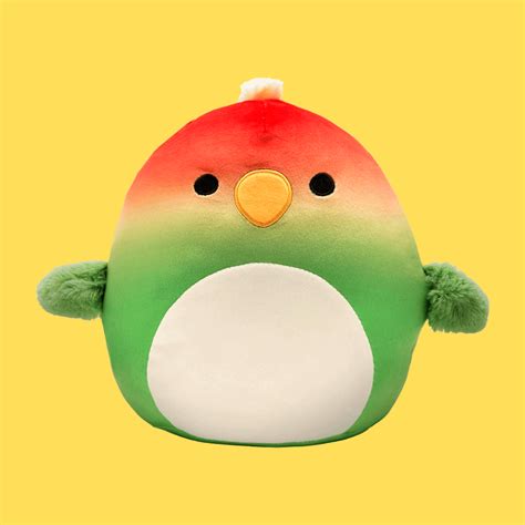 A Symphony of Softness: Meet the Best Bird Squishmallow