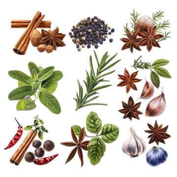 Spices And Herbs Realistic Set, Spices, Herbs, Curry PNG Transparent ...