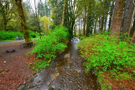 Belfair State Park Campground: Little Mission Creek | Washington state ...