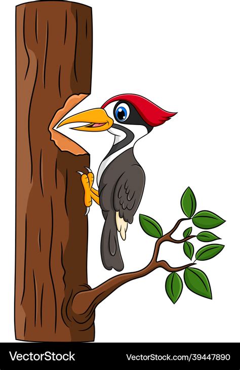 Cute woodpecker bird cartoon Royalty Free Vector Image