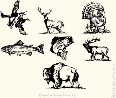 New American Wildlife Illustrations | Animal stencil, Wood burning ...