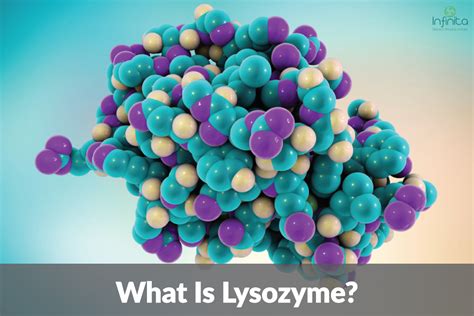 How Is Lysozyme Eznyme Used In Pharmaceutical Industry?