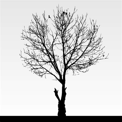 Dry dead tree silhouette. 340787 Vector Art at Vecteezy