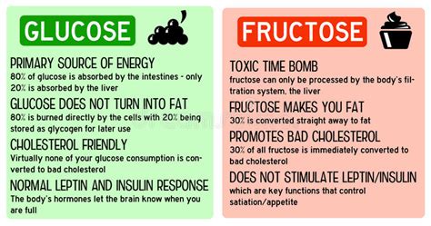 Glucose fructose. Difference between good sugar glucose in fruits and bad sugar fructose in ...