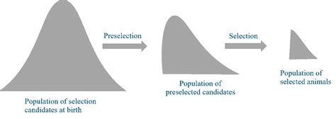 Preselection is a multi-stage process | The Poultry Site