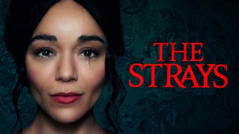 The Strays - Netflix Movie - Where To Watch