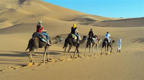 Merzouga Camel Trekking In Morocco - Night,Sunrise,Sunset Camel Rides