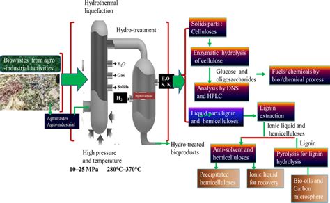 Process flow diagram for the production of bio-oil and bio-chemicals... | Download Scientific ...