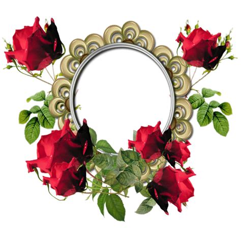 ForgetMeNot: red roses frames | Flower frame, Flower picture frames ...