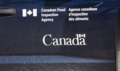 Canadian Food Inspection Agency suspends licence of Calgary dairy ...