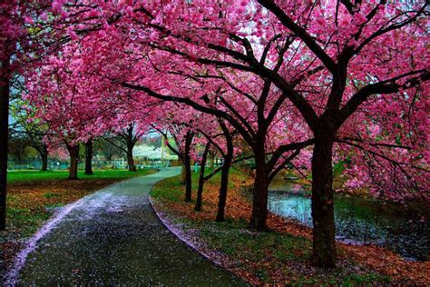 Beautiful Spring Landscapes images