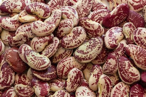 October Beans and Other Produce at a Local Market Stock Photo - Image ...