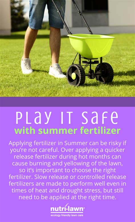 Applying fertilizer in Summer can be risky if you’re not careful. Over applying a quicker ...