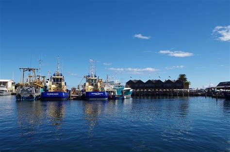 Fremantle Fishing Boat Harbour - Alchetron, the free social encyclopedia