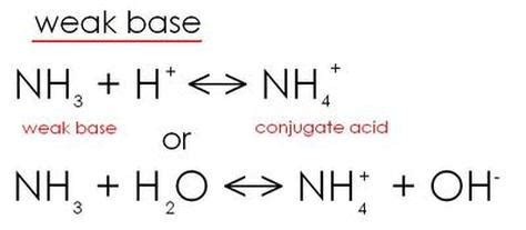 Weak Bases - acid & Base Education