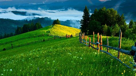 Green Pastures Wallpapers - 4k, HD Green Pastures Backgrounds on WallpaperBat