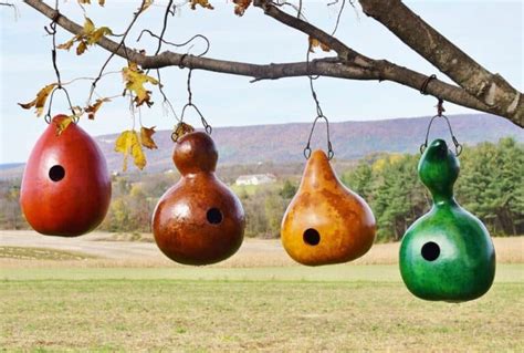 25 Best Gourd Birdhouse Ideas to Attract and Thrill Your Feathered ...