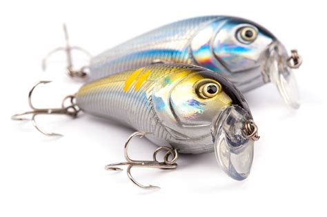 Learn About Bass Lures; Which Bass Fishing Lures Work Best - Take ... | Bass fishing tips, Bass ...