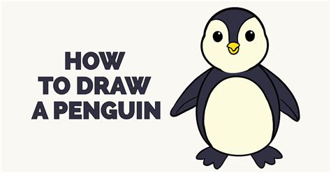 How to Draw a Penguin in a Few Easy Steps | Easy Drawing Guides