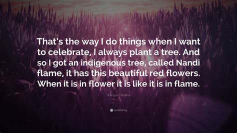 Wangari Maathai Quotes (80 wallpapers) - Quotefancy