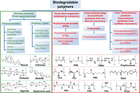 Biodegradable Polymer Wikipedia, 43% OFF | www.elevate.in