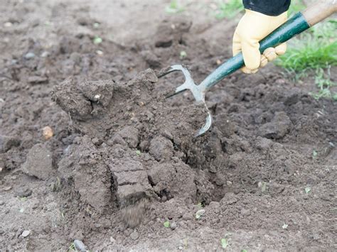 How to Prepare Soil for Planting a Lawn | Garden soil, Planting grass, Garden soil preparation