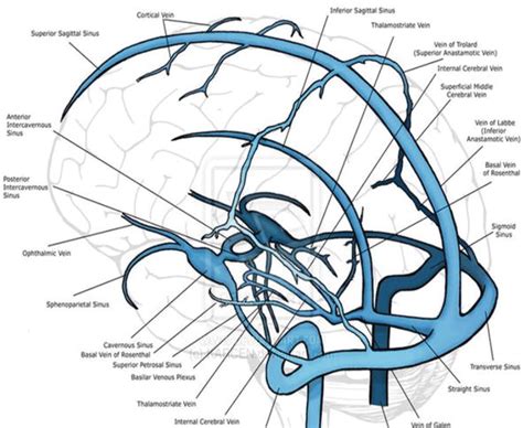 Central Venous Sinus Thrombosis