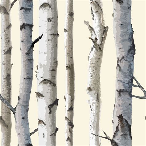 Birch Tree Wallpaper | Walmart Canada