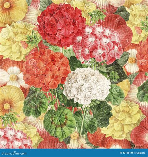 Vintage Botanical Floral Background Stock Illustration - Illustration ...
