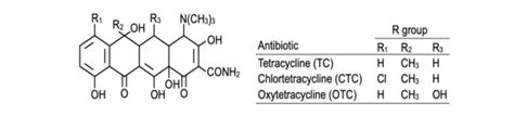 Tetracycline: Production, Biosynthesis, and Mechanism of Action - The ...