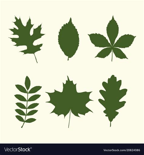 Set of tree leaves shapes Royalty Free Vector Image