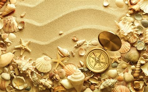 Free download Ocean Sand Shells HD Wallpaper Background Images [2560x1600] for your Desktop ...