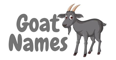 530+ Goat Names Cool Unique Cute Creative & Interesting Idea