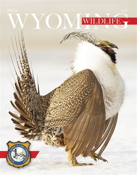 Wyoming Wildlife – IRMA