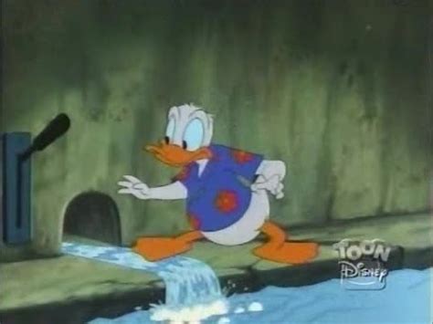 Quack Pack S01 E09 The Late Donald Duck - YouTube