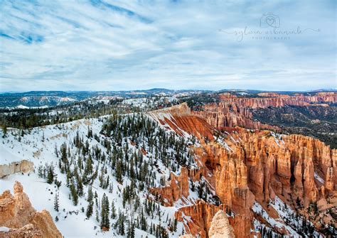 Winter in Bryce Canyon | Bryce canyon, Canyon, Winter