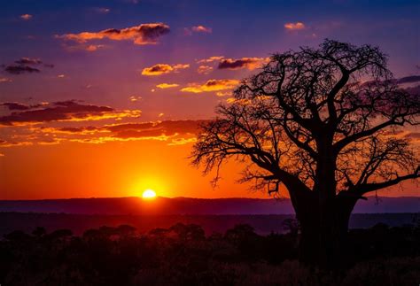 PhotoPOSTcard: A Baobab Sunset - Quiltripping Travel Around The World ...