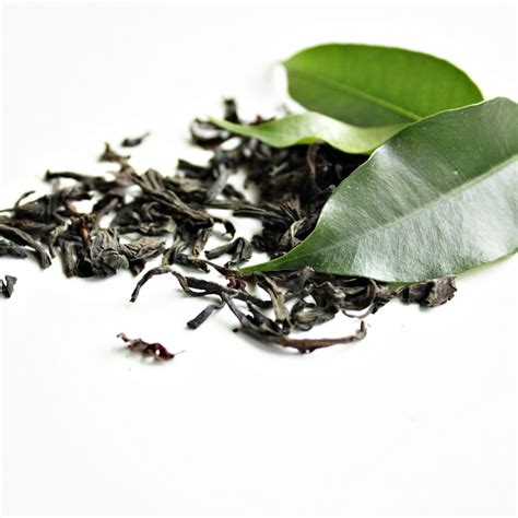 Java Tea Leaves | Rhythm and Ritual