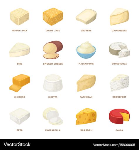 Different types of cheese types Royalty Free Vector Image