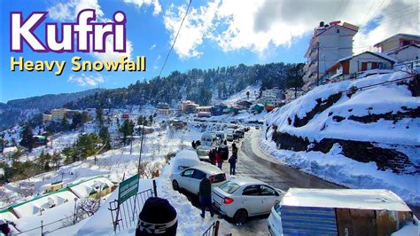 Kufri Shimla | Kufri Himachal Pradesh Kufri Snowfall 2022 | Heavy Snowfall Kufri Shimla - YouTube