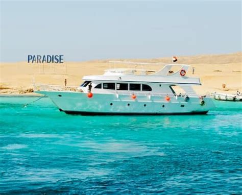 8 Hour Snorkeling Paradise Island, Hurghada Package [2024 ]