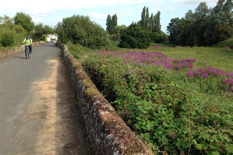 Sowton Science Link | Clyst Valley Regional Park