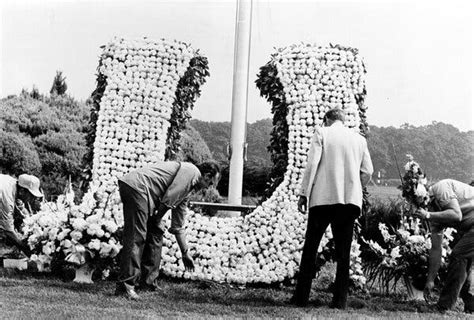 Ruffian, Ill-Fated Hall of Fame Race Horse, Is Reburied in Kentucky ...